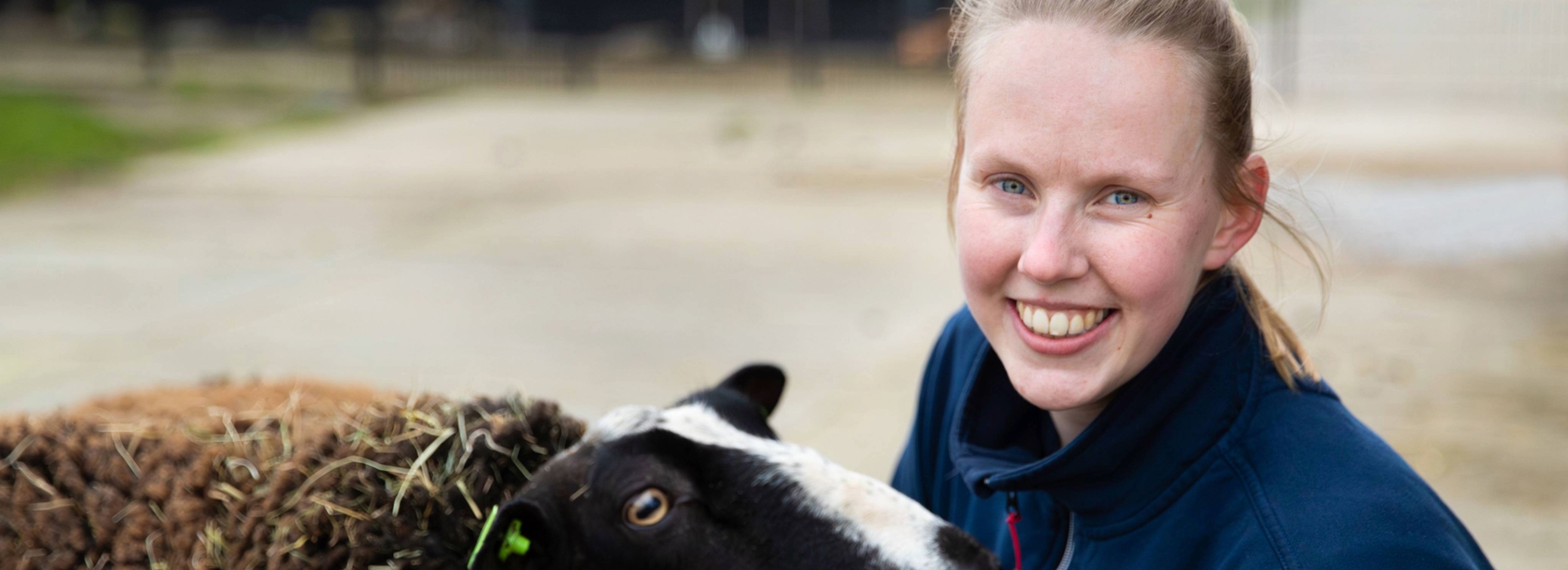 Banner Eline de Wit (gespiegeld)