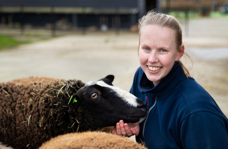 Gemeente Beverwijk-33342