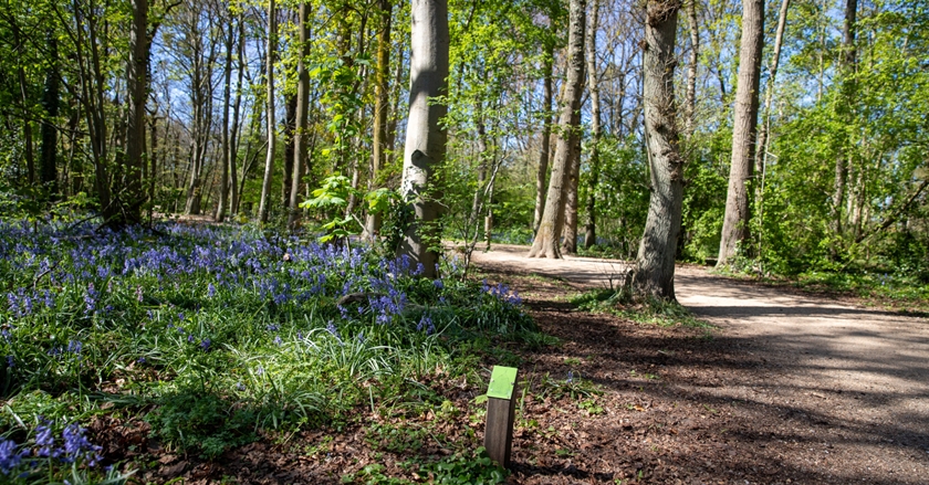 GemeenteBeverwijk-42_lg