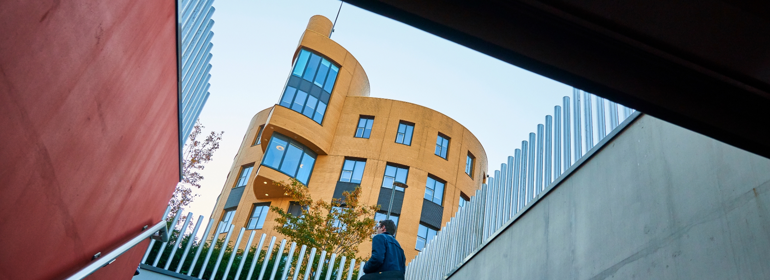 Over Ons - Organisatiestructuur