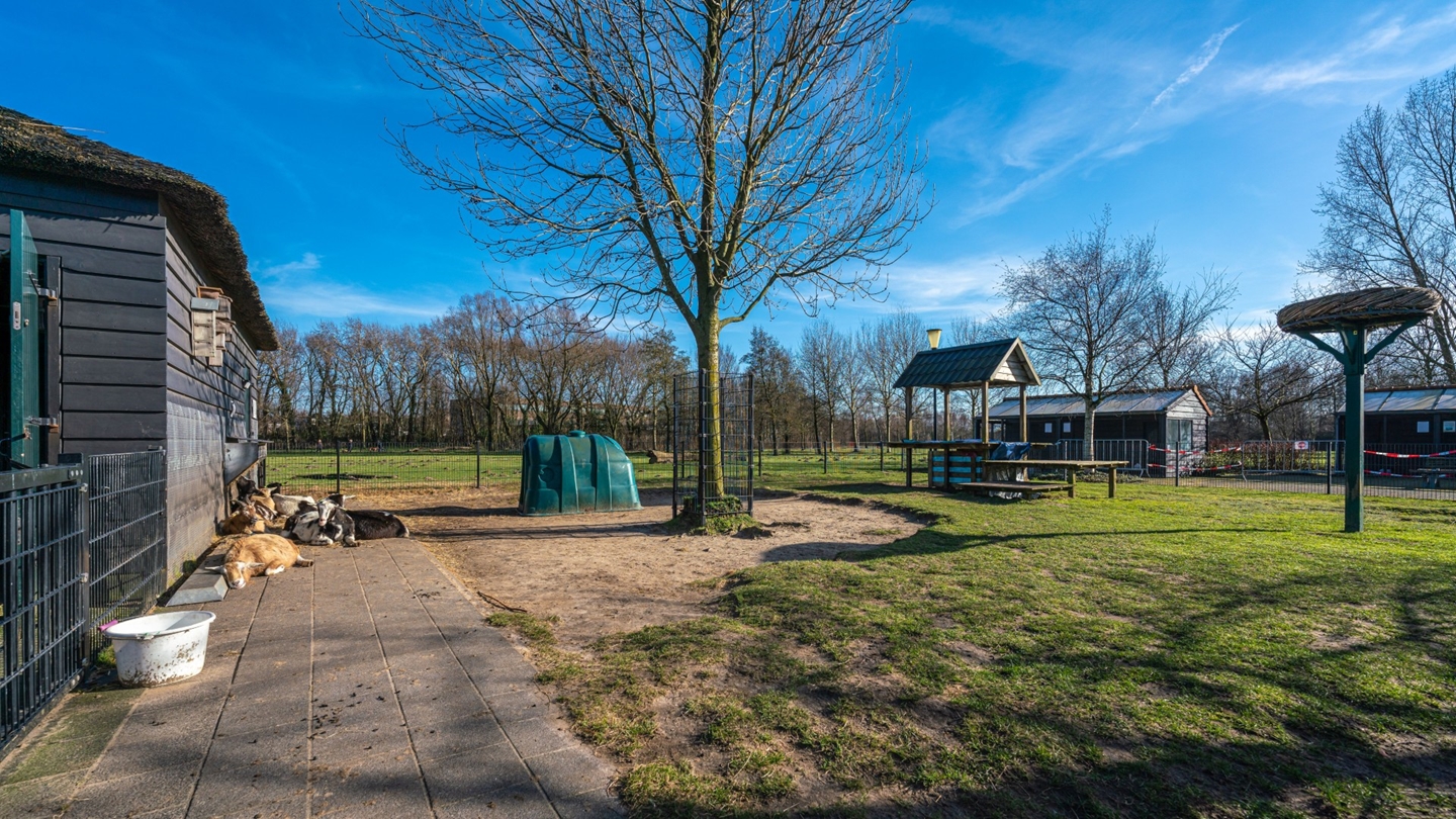 thumbnail_Kinderboerderij de Baak Beverwijk